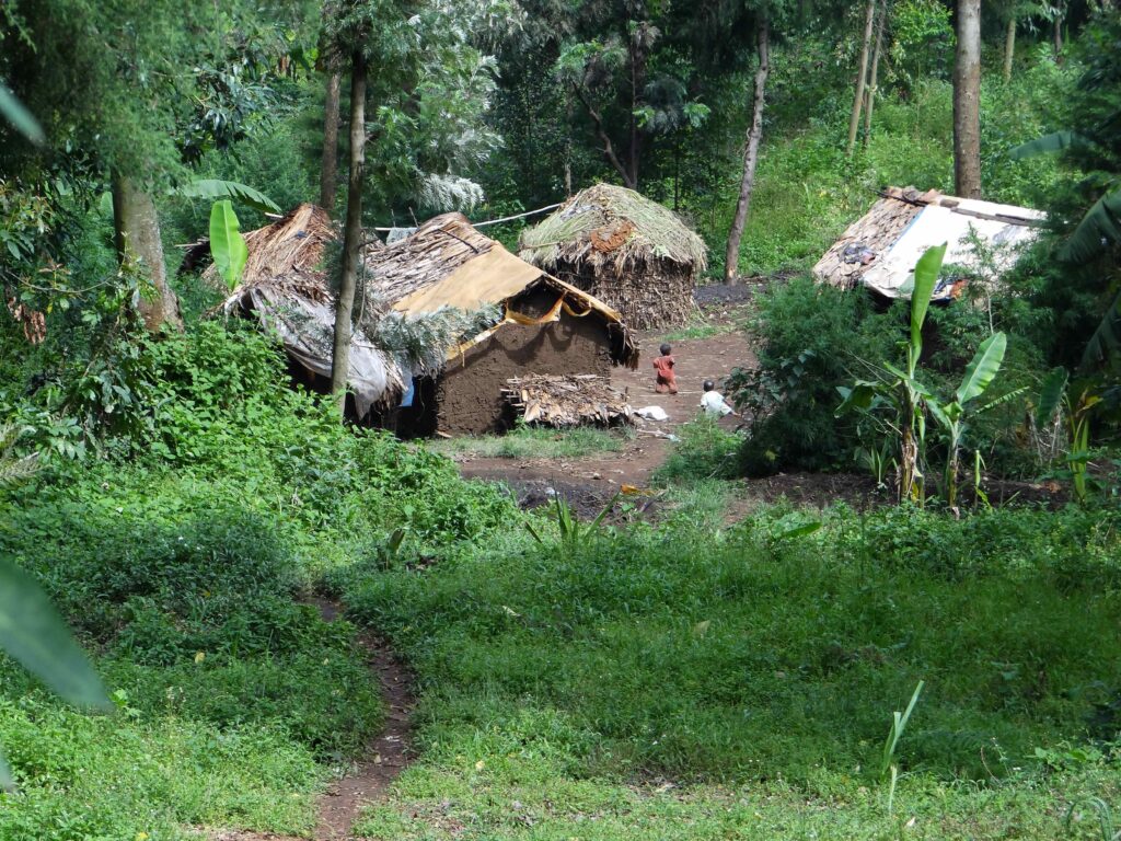 bevolking Oost-Congo pygmee DR Congo Kavumu Bukavu stichting Adavoc oerwoud hutten dorp
