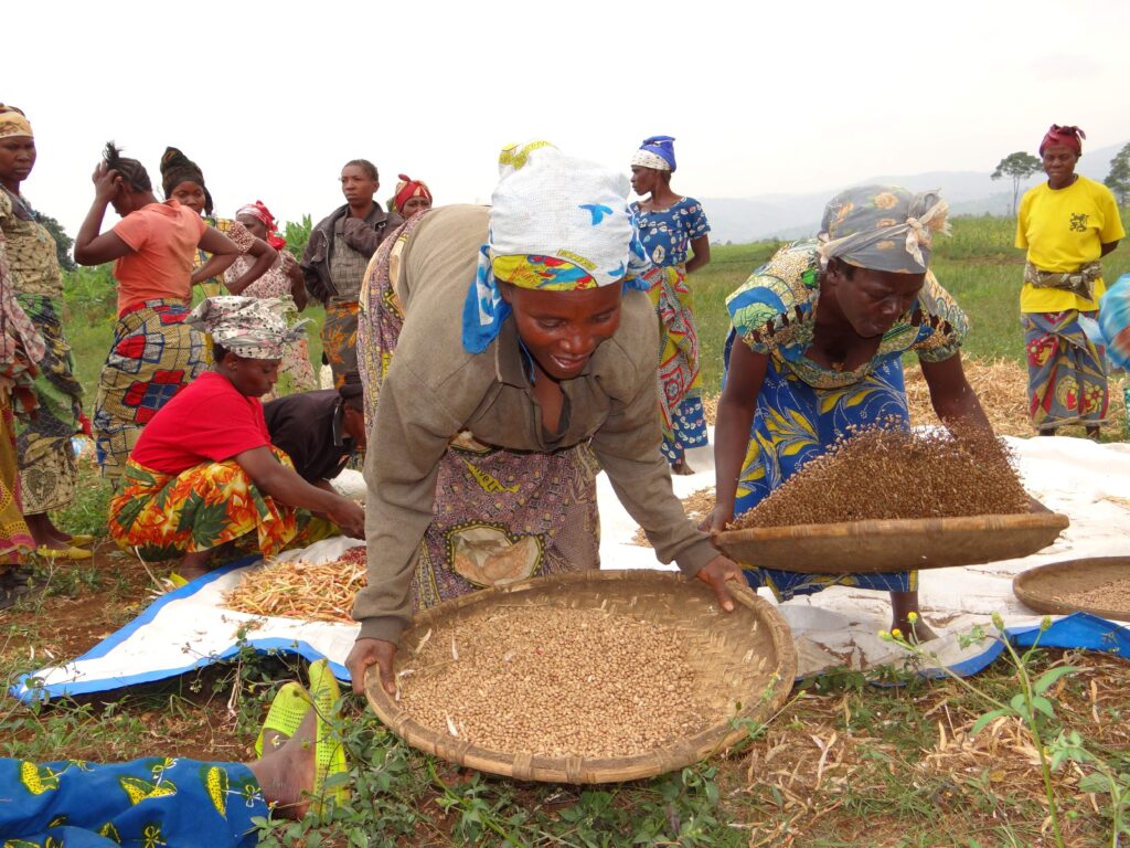 kaf verwijderen zeven zeef bonenoogst vrouwen stichting Adavoc Kavumu Oost-Congo DR Congo landbouw ondersteuning ontwikkelingshulp