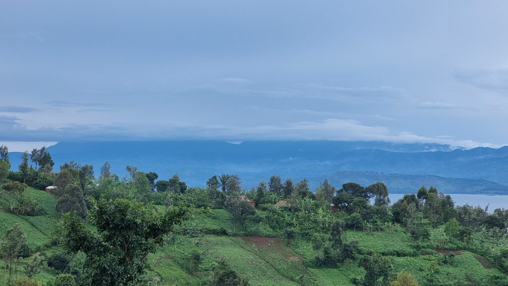 Kivu meer eiland Idjwi Zuid-Kivu Bukavu Kavumu Oost-Congo DR Congo palmbomen